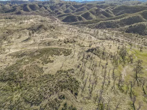 000 Platina Rd, Ono, CA 96047 photo 13