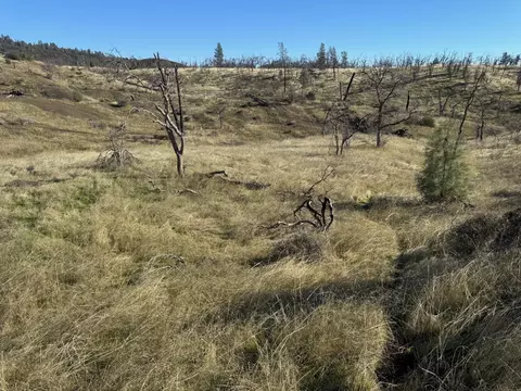 000 Platina Rd, Ono, CA 96047 photo 5