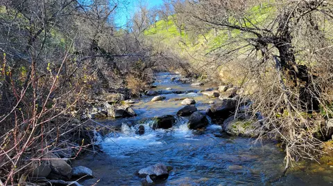 lot41 Roaring Creek Rd, Ono, CA 96047