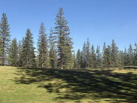 lot8 9 Harney Ct, Weed, CA 96094