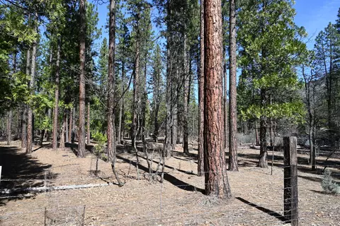 00000 Pine Shadows, Mcarthur, CA 96056 photo 2