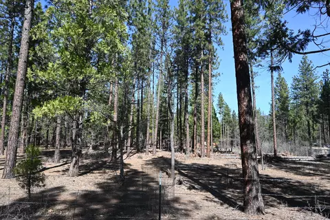 00000 Pine Shadows, Mcarthur, CA 96056 photo 3