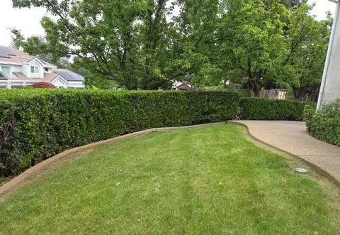Exterior - 531 Aurora Pl, Redding, CA 96001 photo 3 of 10