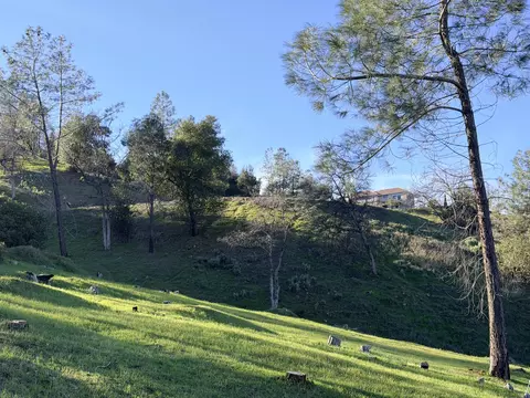 15333 Mountain Shadows Dr, Redding, CA 96001 photo 23