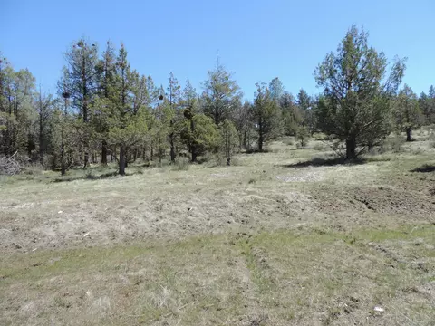 lot48 Natchez Ct, Fall River Mills, CA 96028