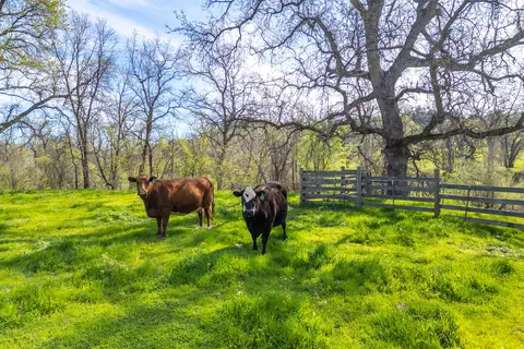 Other - 11847 Oak Run Rd, Oak Run, CA 96069 photo 13 of 17