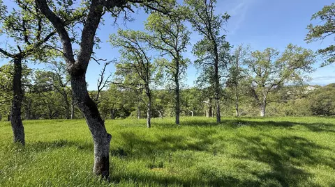 19816 Tedrock Mountain Pl, Cottonwood, CA 96022
