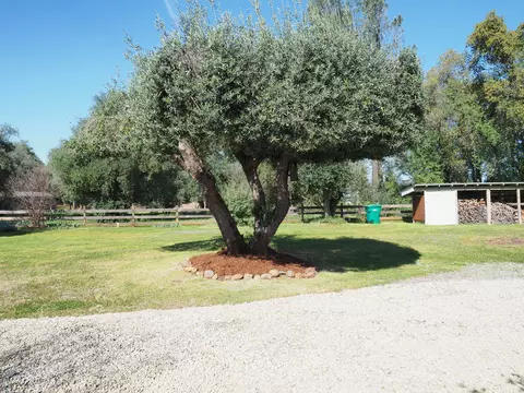 Exterior - 17039 Jay Dee Ln, Anderson, CA 96007 photo 5 of 23