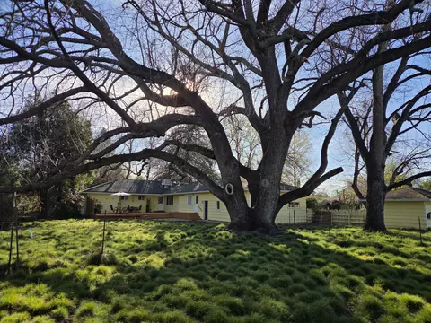 Exterior - 8198 Green Acres Ln, Redding, CA 96002 photo 8 of 20