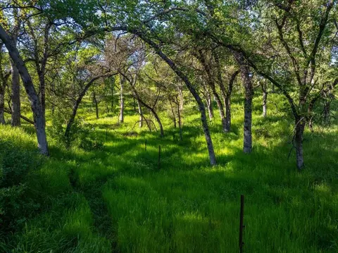 Other - 14945 Caylor Ln, Red Bluff, CA 96080 photo 7 of 11