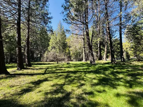 Exterior - 7556 Red Eagle, Shingletown, CA 96088 photo 8 of 11