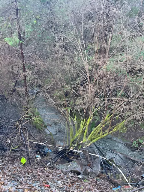 Other - 1489 Lower South Fork Rd, Hyampom, CA 96046 photo 6 of 6