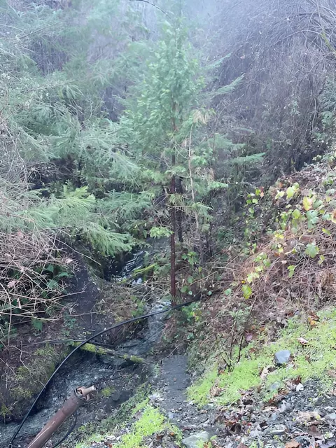 Other - 1489 Lower South Fork Rd, Hyampom, CA 96046 photo 5 of 6