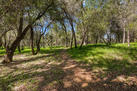 21082 Oak Knoll Rd, Redding, CA 96003 photo 39