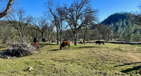 Other - 9390 Platina Rd, Igo, CA 96047 photo 3 of 20
