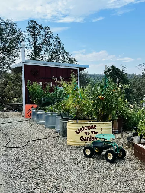 Exterior - 9390 Platina Rd, Igo, CA 96047 photo 14 of 14