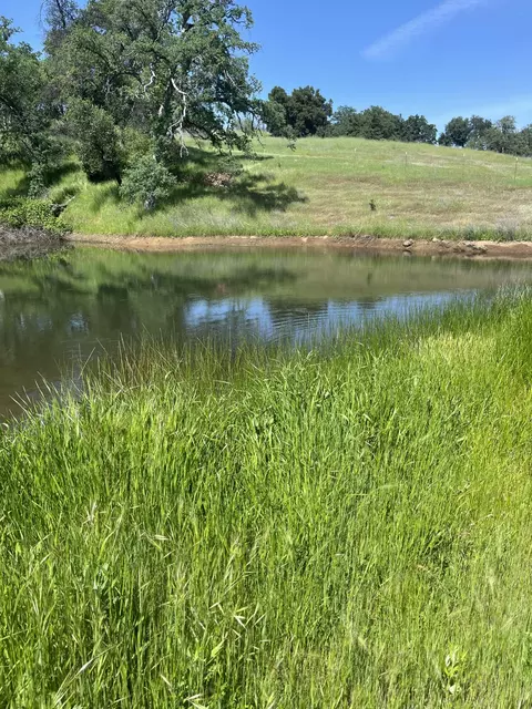View/Area - 9390 Platina Rd, Igo, CA 96047 photo 1 of 1
