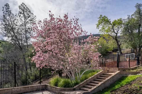 Exterior - 15202 Ledgewood Dr, Redding, CA 96001 photo 4 of 4