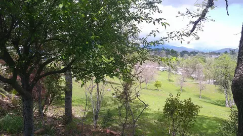 4672 Underwood Dr, Redding, CA 96003 photo 9