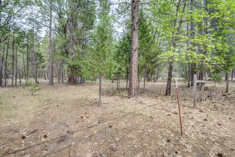 Exterior - 30292 Whitmore Rd, Whitmore, CA 96096 photo 7 of 23