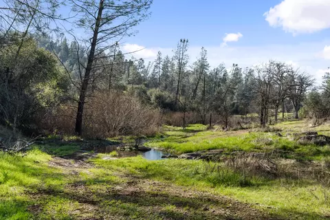 21484 Driftwood Trl, Redding, CA 96003 photo 37