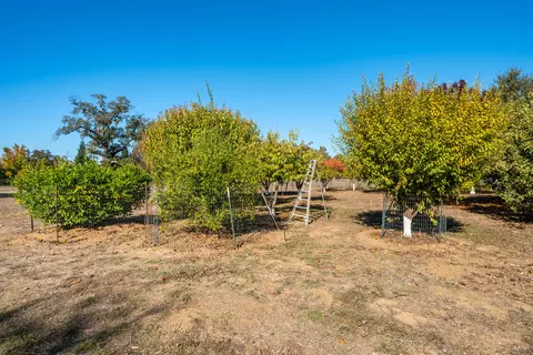 Exterior - 7429 Danish Ln, Redding, CA 96002 photo 31 of 48