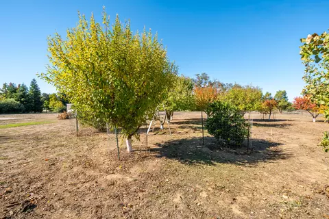 Exterior - 7429 Danish Ln, Redding, CA 96002 photo 32 of 48