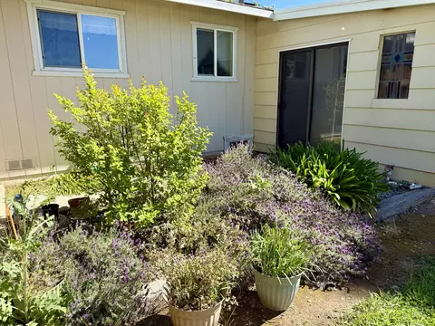 Exterior - 4856 Pheasant Dr, Anderson, CA 96007 photo 9 of 18