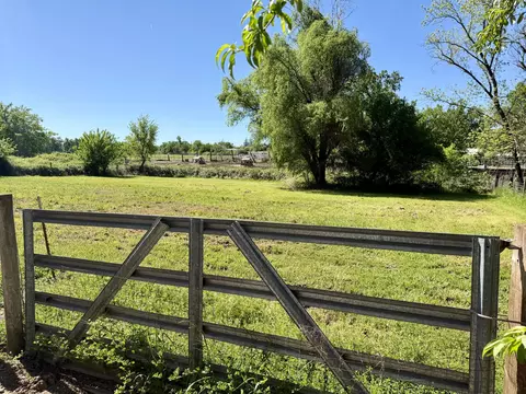 Exterior - 4856 Pheasant Dr, Anderson, CA 96007 photo 16 of 18