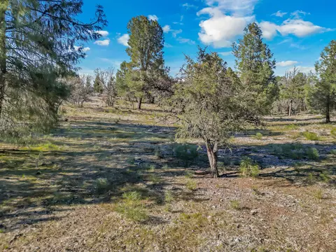 Other - 43007 Shoshoni Loop, Fall River Mills, CA 96028 photo 27 of 27
