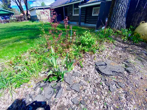 Exterior - 230 Myrtle St, Chester, CA 96020 photo 5 of 12
