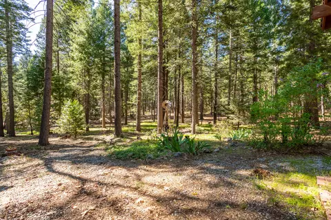 Exterior - 30481 Rl Smith Logging Rd, Oak Run, CA 96069 photo 10 of 18