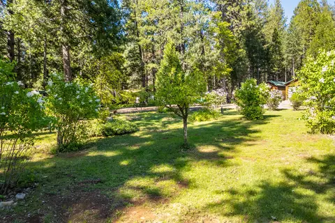 Exterior - 30481 Rl Smith Logging Rd, Oak Run, CA 96069 photo 3 of 18