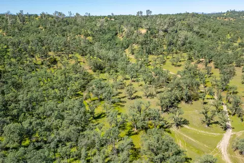 21100 Doe Run Way, Red Bluff, CA 96080 photo 81
