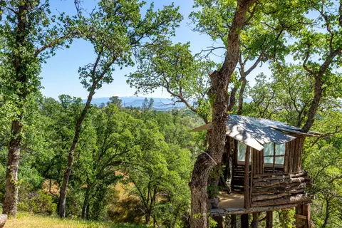 21100 Doe Run Way, Red Bluff, CA 96080 photo 66