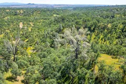 21100 Doe Run Way, Red Bluff, CA 96080 photo 78
