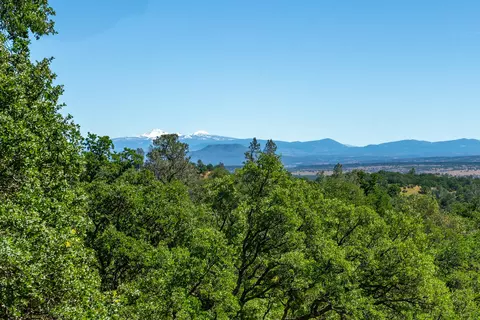 21100 Doe Run Way, Red Bluff, CA 96080 photo 64