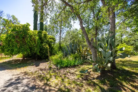 21100 Doe Run Way, Red Bluff, CA 96080 photo 55