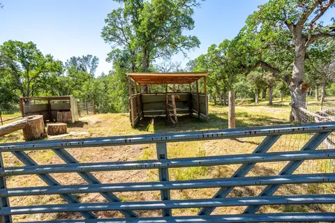 21100 Doe Run Way, Red Bluff, CA 96080 photo 52