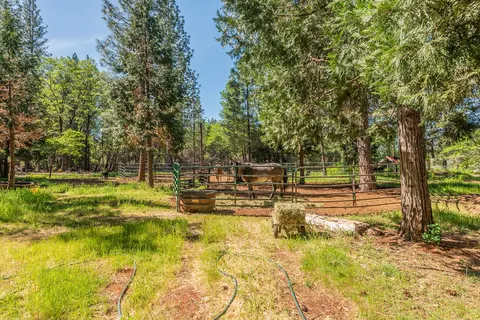 Exterior - 29837 Westmoore Rd, Shingletown, CA 96088 photo 9 of 9