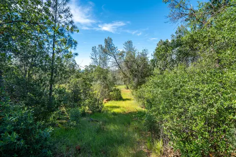 Exterior - 25680 Cherith Brook Dr, Shingletown, CA 96088 photo 31 of 37