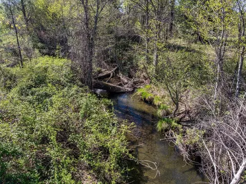 View/Area - 29865 E Highway 299, Round Mountain, CA 96084 photo 13 of 22