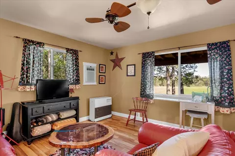 Living - 29865 E Highway 299, Round Mountain, CA 96084 photo 13 of 15