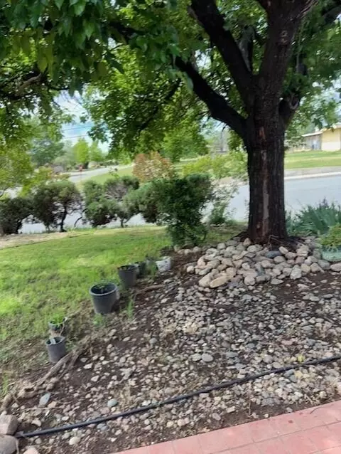 Exterior - 510 David Ave, Red Bluff, CA 96080 photo 3 of 14