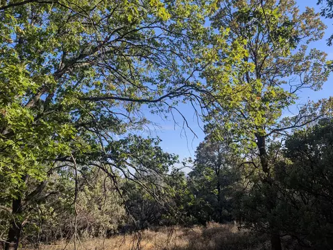 000 Rocky Top Rd, Bella Vista, CA 96008