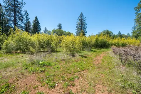 Other - 21855 Graham Rd, Manton, CA 96059 photo 11 of 35