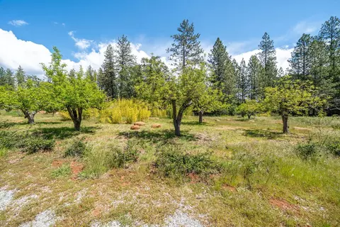 Exterior - 21855 Graham Rd, Manton, CA 96059 photo 15 of 21