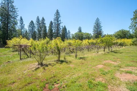 Other - 21855 Graham Rd, Manton, CA 96059 photo 10 of 35