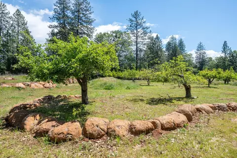 Exterior - 21855 Graham Rd, Manton, CA 96059 photo 13 of 21
