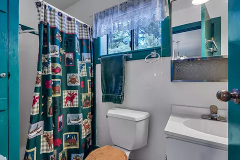 Bath - 211 Strope Creek Rd, Trinity Center, CA 96091 photo 4 of 4